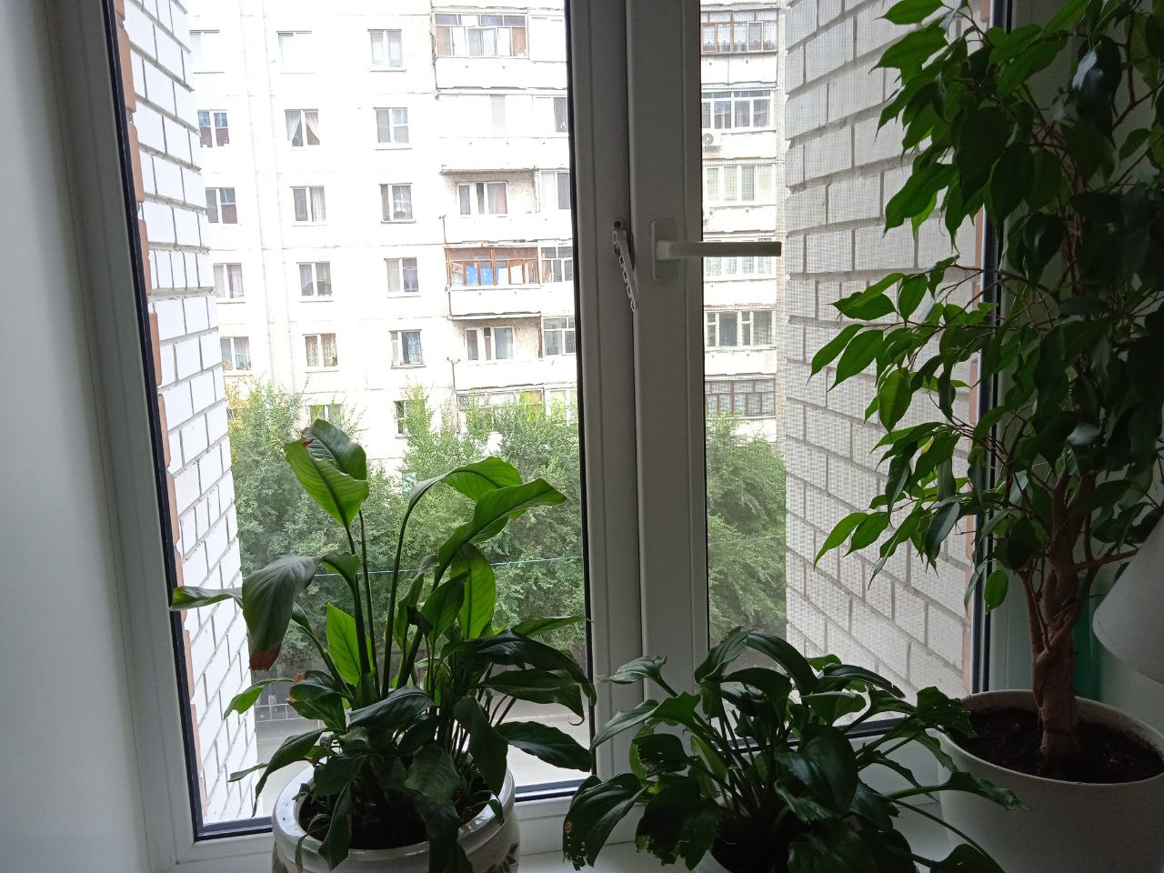 https://taganrog.delaem-okna.ru/storage/app/uploads/public/63f/332/8c0/63f3328c0d6f7867060515.jpg